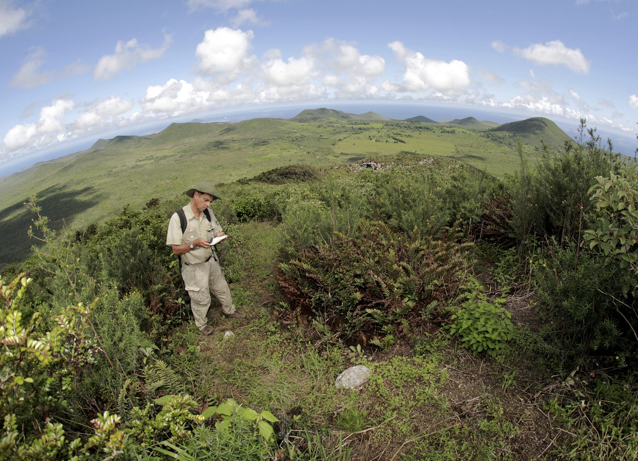 After visiting the island of San Cristóbal (Chatham), the Beagle sailed to Floreana (Charles Island), where there was a settlement of about 300 people who had been exiled from Ecuador, mainly owing to involvement in political insurrection. Darwin and some of his Beagle crewmembers climbed the tallest peak (Cerro Pajas) on 27 September 1835, from which they had an excellent view of the entire island.  This photograph shows the view from the summit looking toward the south, where the main settlement was located in 1835. In his Journal of Researches Darwin wrote about his visit to this island: "We staid at this island four days, during which time I collected many plants and birds. One morning I ascended the highest hill, which has an altitude of nearly 1800 feet. The summit consists of a broken-down crater, thickly clothed with coarse grass and brushwood. Even in this one island, I counted thirty-nine hills, each of which was terminated by a more or less perfect circular depression" (1839:457).