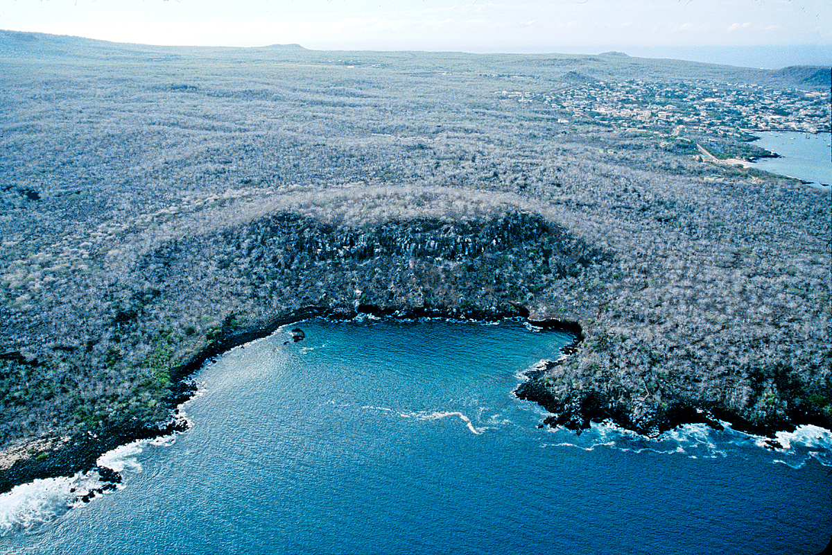 Frigatebird Hill (San Cristóbal), seen from the air. 
 This is the site where Darwin and other members of the Beagle crew first set foot in the Galápagos. 
 Of this first landing on the morning of 17  September 1835, Captain FitzRoy wrote: "We landed upon black, dismal-looking heaps of broken lava, forming a shore fit for Pandemonium. Innumerable crabs and hideous iguanas started in every direction as we scrambled from rock to rock. . . . Ascending a little hill, we were surprised to find much brush or underwood, and trees of considerable size, as large in the trunk as one man could clasp. These were prickly pears, and a kind of gum-tree: how their roots are able to penetrate, or derive nourishment from the hard lava, it is hard to say; for earth there is scarcely any. . . . This first excursion had no tendency to raise our ideas of the Galāpagos Islands (Voyages of the Adventure and Beagle, 1839, pp. 486-487).  In the  upper right-hand portion of this photograph is Wreck Bay and the town of Puerto Baquerizo Moreno, which is the archipelago's capital and administrative center.