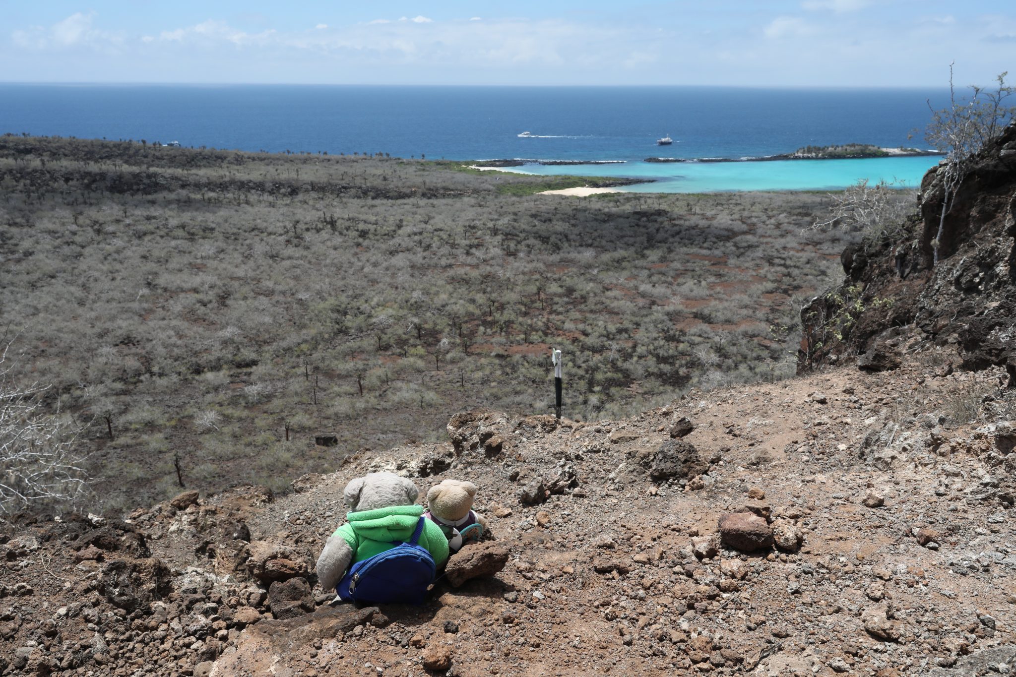 Darwin Bear and Huxley Bear at the top of the formidable tourist trail that ascends a steep cliff on Santa Fe (April 2019).  Two tourist ships can be seen in the distance.  This is a particularly well documented site in my repeat photography project and includes images taken at various different times between 1933 and the present. 
 The study of these repeat photography images, and their comparison with present-day images taken from the same location, has helped to elucidate ecological changes in the Galápagos over nearly a century, and hence to document the effects of introduced invasive species, such as goats, pigs, and rats on the native vegetation (Sulloway, 2015).