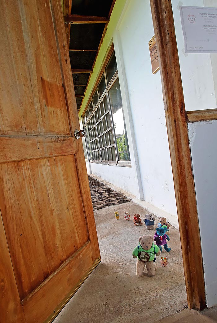 Eight bears whose images were captured using a camera trap set just inside the entrance to the Darwin Station Library.  This library is where the bears are reputed to sleep at night whenever they are not doing fieldwork on other islands.  From front to back: Darwin Bear, Tennis Bear, Henslow Bear, Huxley Bear, Covington Bear, Wallace Bear, Lyell Bear, and Hooker Bear.