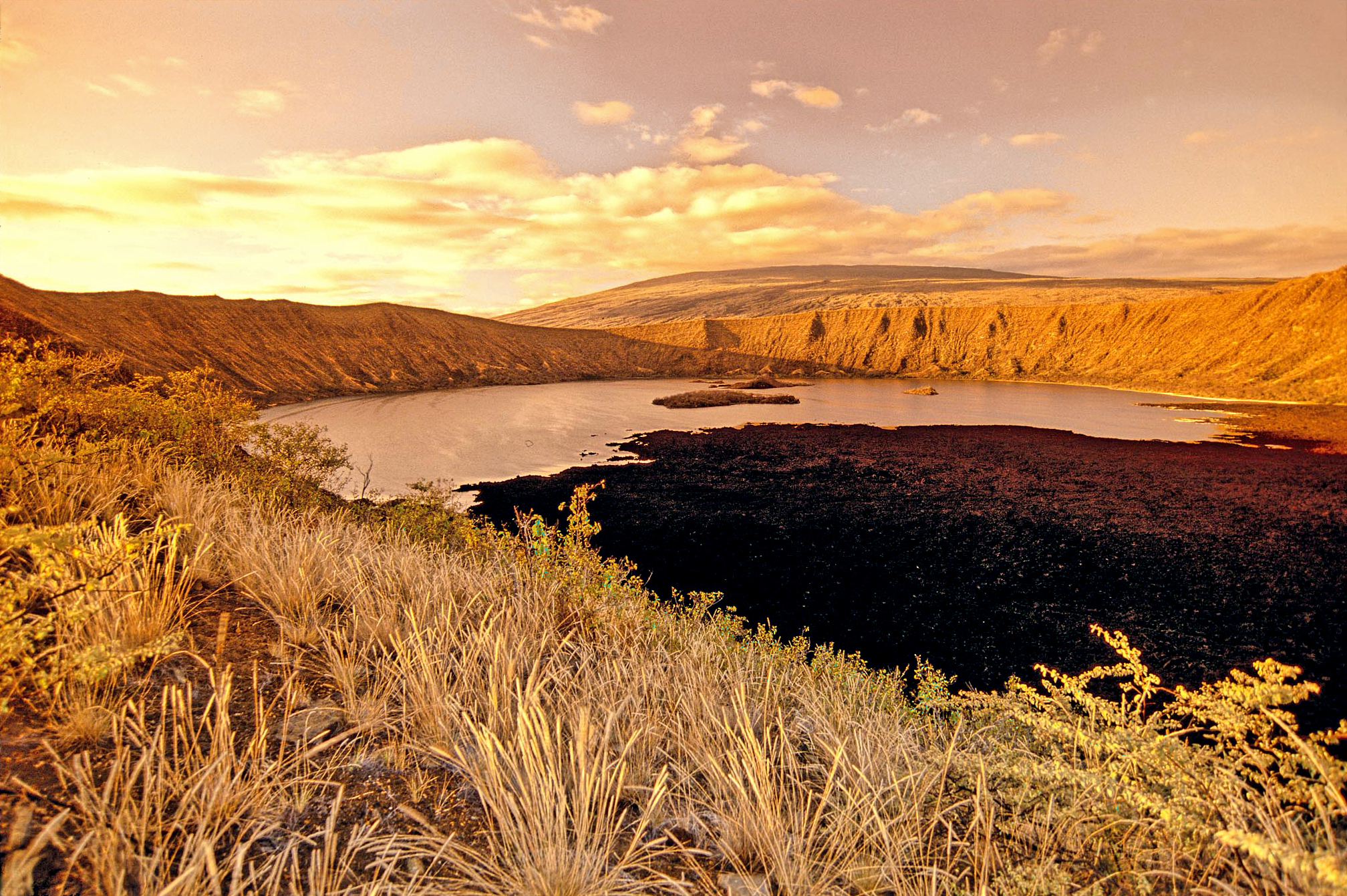 After going ashore at Tagus Cove, Darwin proceeded to examine nearby "Beagle" crater just to the south. This photograph shows Beagle crater from its southern side. Darwin described this crater as being "elliptic in form; the longer axis being less than a mile, and its depth about 500 feet. The bottom was occupied by a shallow lake, and in its centre a tiny crater formed an islet. The day was overpoweringly hot, and the lake looked clear and blue. I hurried down the cindery slope, and choked with dust eagerly tasted the water—but to my sorrow I found it salt as brine" (Journal of Researches, 1839:458).  On the right side of this photograph one can see the western slopes of Volcan Darwin.