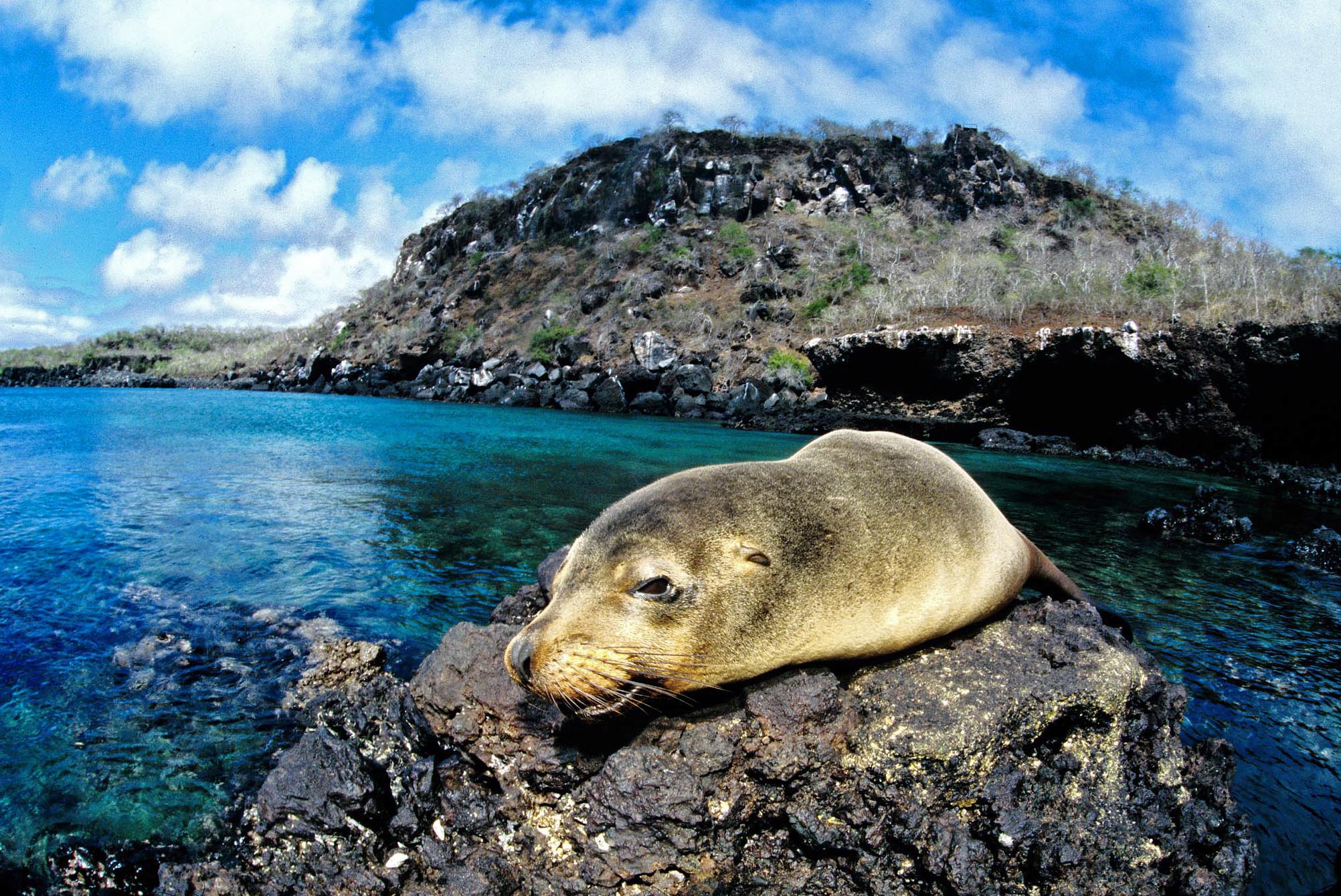 A view of Frigatebird Hill, where Darwin and some other members of the Beagle crew first landed in the Galápagos, viewed from the western side of the bay.