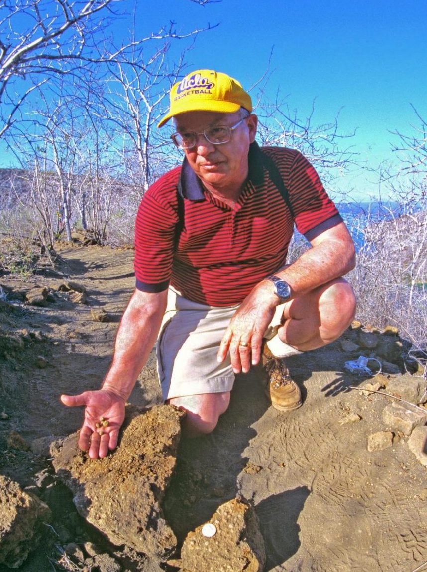 Lying on the ground along the rim of Lake Darwin at Tagus Cove, as well as at nearby Beagle crater, are what Darwin described as "pisolitic balls" (1844, p. 106); see also Estes et al., 2000).   They are now called accretionary lapilli and are formed when a submarine eruption emits ash.  When falling back to earth, the ash sticks together, forming the bullet-sized particles that Darwin observed. 

Seen holding some of these lapilli in this photo, is Bill Schopf, who is known for his discoveries of some of the earliest forms of life on Earth, which lived more than 3 billion years ago.