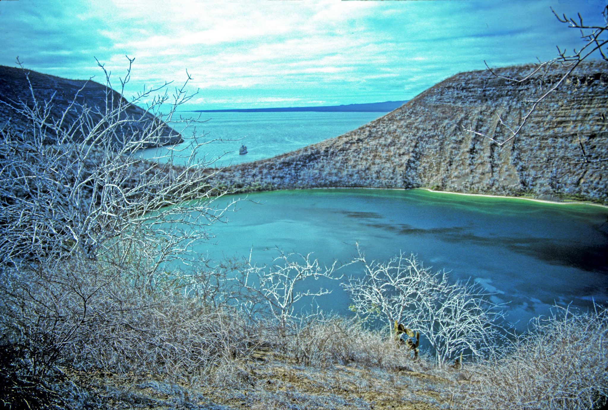 From Floreana, the Beagle sailed to the northwestern side of Isabela (Albemarle Island), anchoring in Tagus Cove, which can be seen here from the eastern rim of a crater lake (now known as Lake Darwin) that adjoins Tagus Cove.