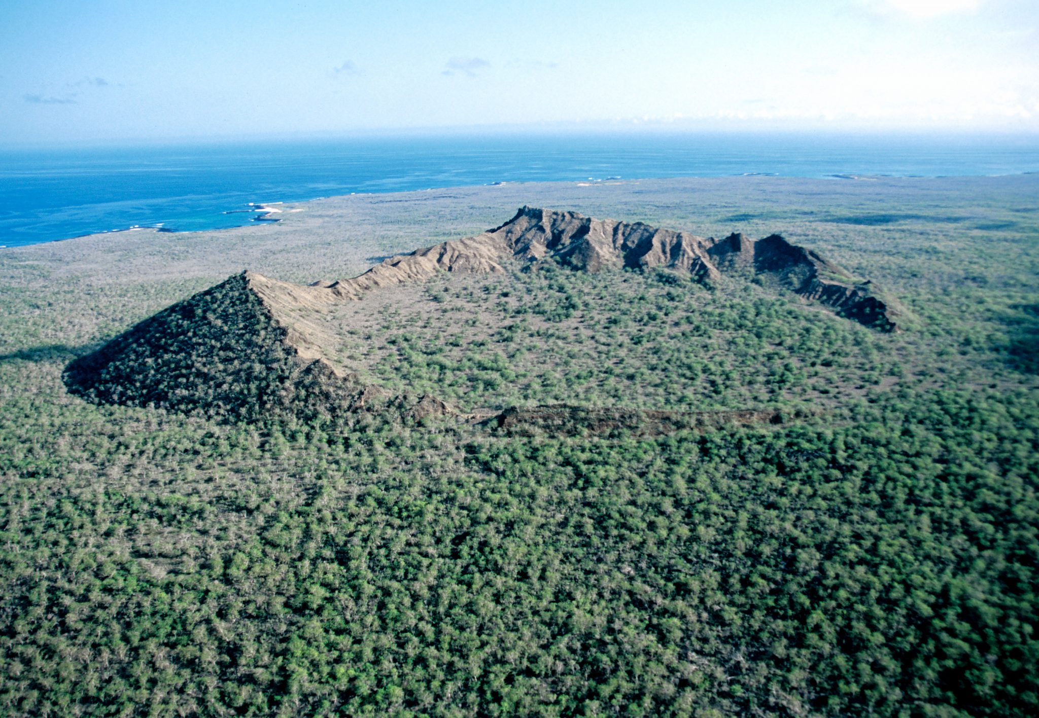 While the rest of the Beagle crew searched for tortoises, Darwin and John Stokes (assistant surveyor on the Beagle), walked inland to this crater (Pan de Azucar) on the northeastern side of San Cristóbal, about a mile from the seacoast, where the Beagle was anchored.  In his Beagle "Diary" entry for 18 September 1835, Darwin wrote about this excursion: "We ascended the broken remains of a low but broard [sic] crater.  The Volcano had been sub-marine--the strata which dipped away on all sides were composed of hard Sandstones composed of Volcanic dust. . . . The hunting party brought back 15 Tortoises: most of them very heavy & large" (p. 353).  Although now extinct on the western side of the island, tortoises can still be found in this northeastern part of the island today.  

Darwin's misspelling of "broad" as "broard" is one of a series of words he misspelled during the Beagle voyage, including "neighborhead" and "occassionally."  These misspellings, which were corrected by Darwin toward the end of the voyage, sometimes provide  invaluable information for dating important and otherwise undated Beagle manuscripts, including Darwin's first explicit statement about the possibility of evolution (Sulloway, 1983).