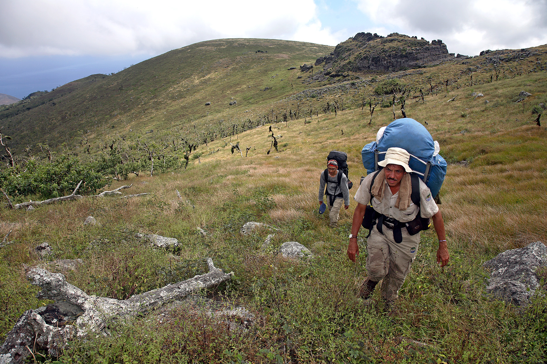 The author hiking to the summit of Santiago, which is just a hundred meters or so higher up.  Darwin took this same route to the summit in 1835, and along the way he investigated the "nearly perfect crater" seen here in the background.  In Darwin's day, this part of the island was heavily vegetated, but it subsequently was almost completely denuded by feral goats.  Goats were finally eliminated from the island in 2004, the year when this photograph was taken.  Since then, much of the native vegetation has recovered.