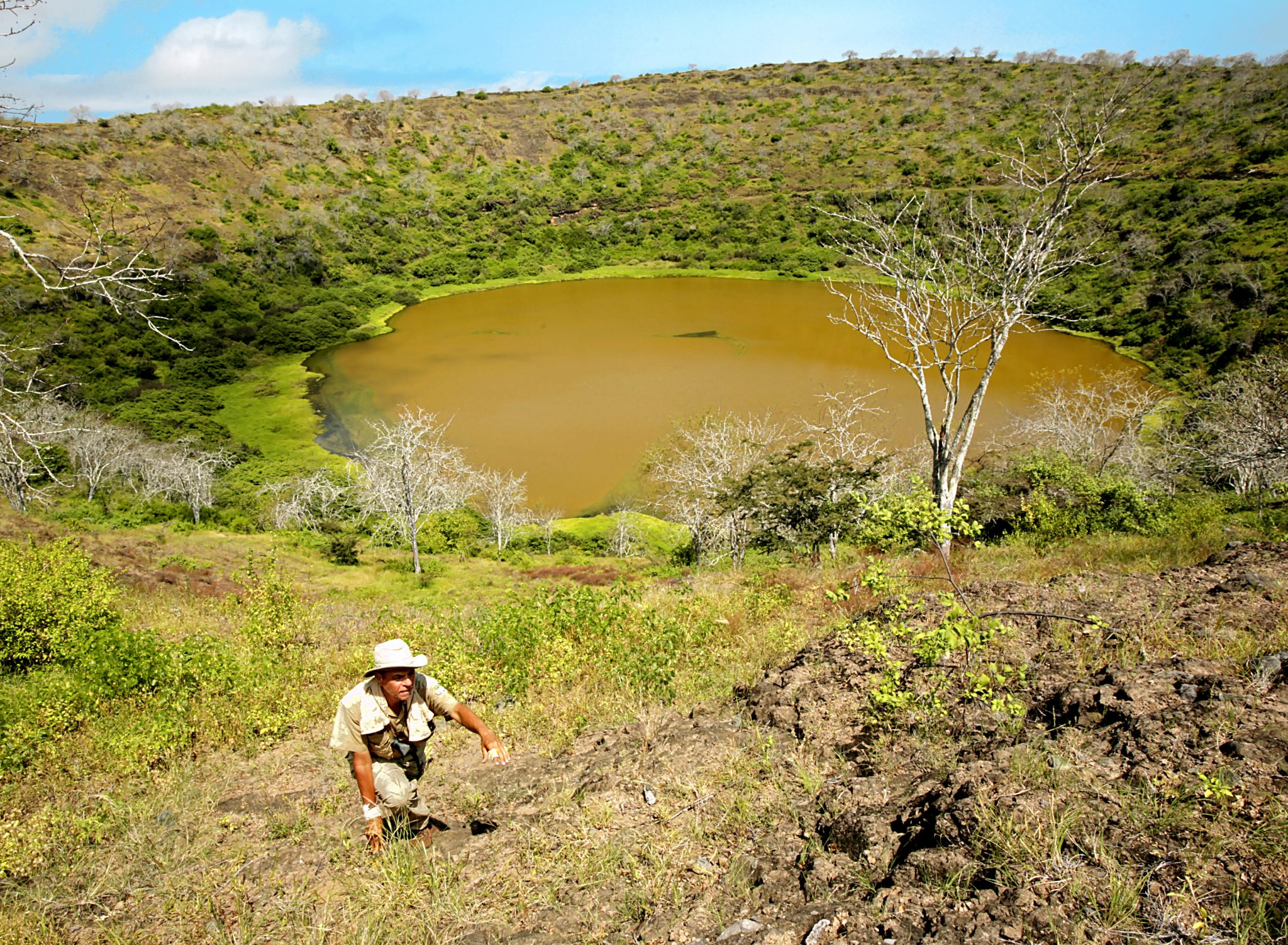 Accompanied by a group of settlers from Floreana who had been sent to Santiago by the vice-governor to fish and hunt tortoises.  Darwin visited this salina at the bottom of a tuff crater located on the southern side of James Bay.  Located five miles south of Darwin's campsite at Buccaneer Cove,  this salina was a good source of salt and was being used by the settlers for preserving fish and tortoise meat.  Later in the mid-twentieth century, an Ecuadorian company mined the salt commercially.  The road built by this company to descend to the bottom of the crater can be seen winding down the crater's far side.  About his own visit to this salina in October 1835, Darwin wrote: "After landing, we had a very rough walk over a rugged field of recent lava, which has almost surrounded a sandstone crater, at the bottom of which the salt-lake is located. . . . A few years since, the sailors belonging to a sealing-vessel murdered their captain in this quiet spot; and we saw his skull lying among the bushes"  (Journal of Researches, 1839:459  ).