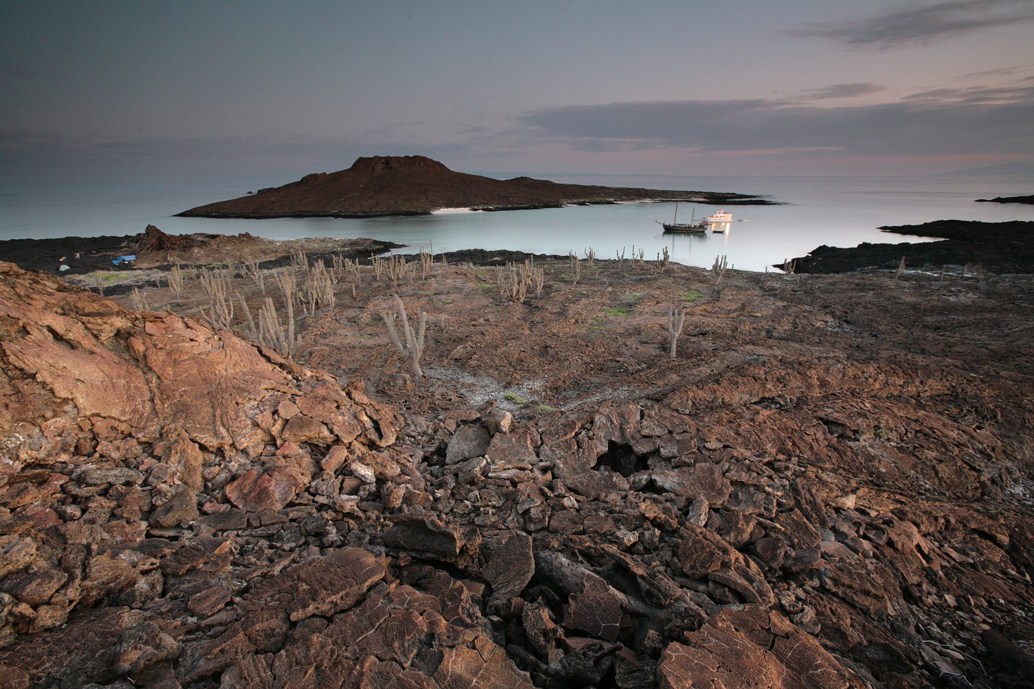 An area dominated by candelarba cactus (Jasminocereus thouarsi) on the southeastern coast of Santiago.  In the background is Sombrero Chino, a small island that is a visitor site.  Two tourist ships are anchored in the bay for the night.  My team's campsite is visible on the far left.